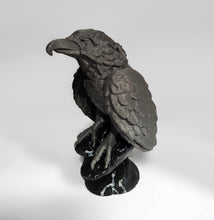 Load image into Gallery viewer, PETG-SS25: Recycled, Dark Gray