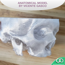 Load image into Gallery viewer, Clear: Recycled PET-G